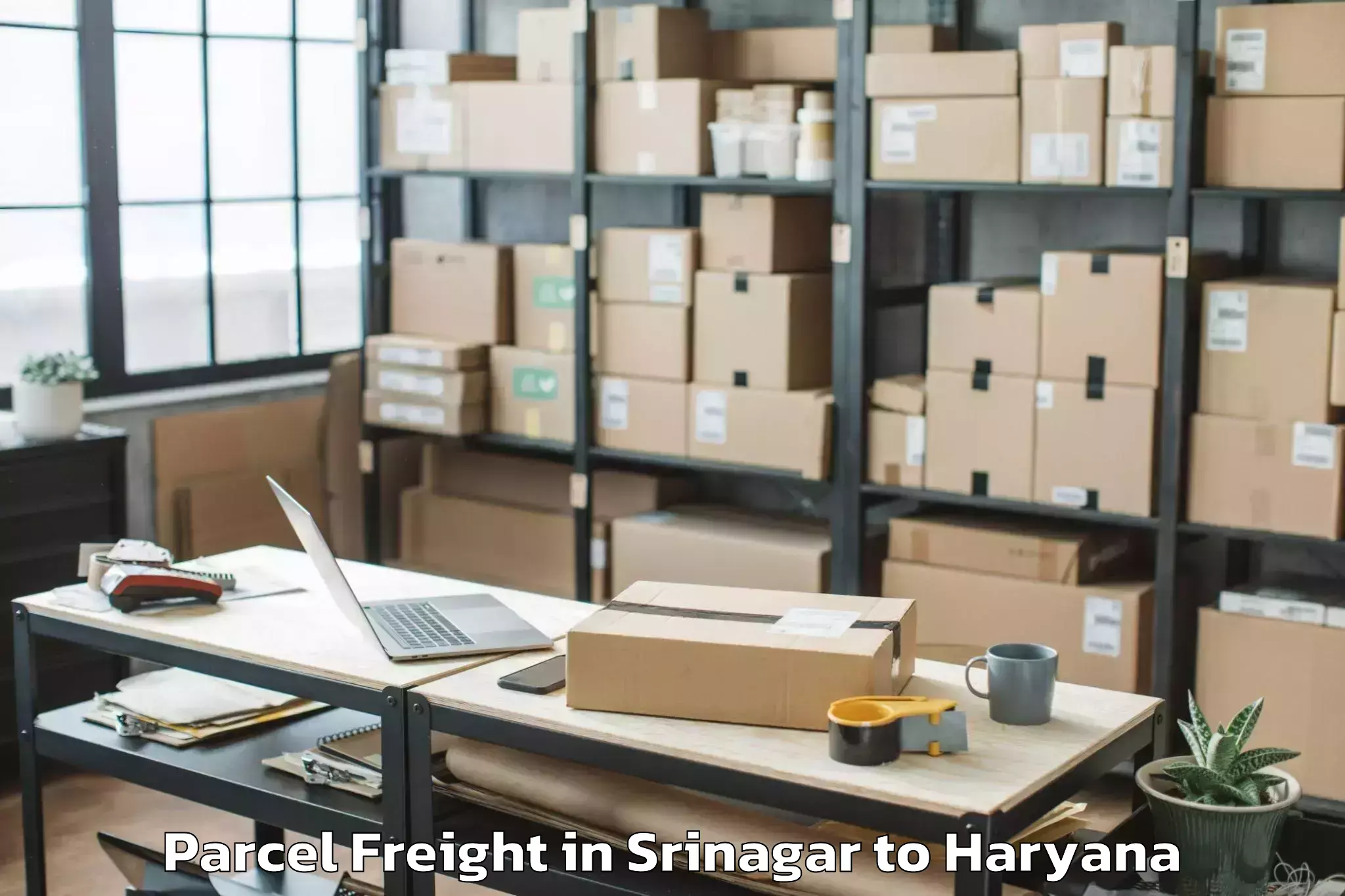 Comprehensive Srinagar to Palwal Parcel Freight